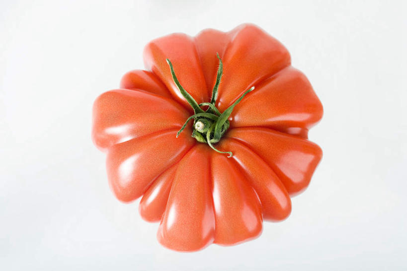 无人,横图,俯视,室内,特写,白天,白色背景,西红柿,水果,阴影,新鲜,反射,影子,生食,食品,果实,食物,一个,红色,整个,摄影,有机食品,绿色食品,影棚,单个,番茄,彩图,高角度拍摄,影棚拍摄,拍摄