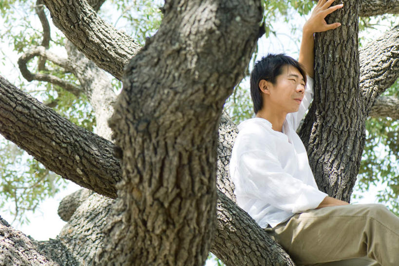 西方人,一个人,坐,横图,室外,白天,仰视,树林,植物,欧洲,欧洲人,仅一个男性,仅一个人,注视,树,树干,树木,树枝,仅一个年轻男性,绿色,自然,扶,观察,看,眯眼,生长,成长,观看,察看,扶着,关注,男人,男性,年轻男性,白种人,坐着,半身,彩图,低角度拍摄