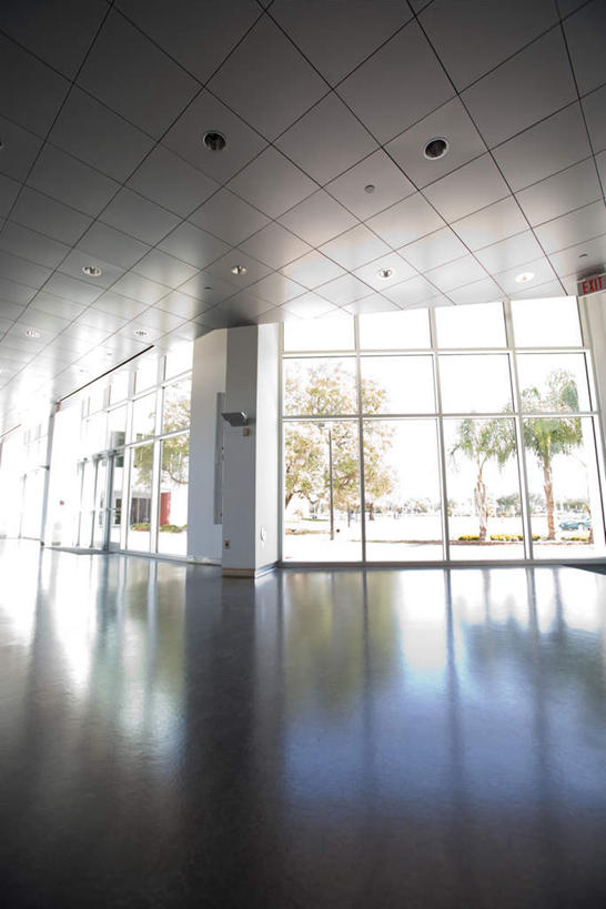 无人,竖图,室内,白天,正面,树林,植物,窗户,地板,落地窗,门,天花板,汽车,照明,阴影,反射,影子,墙,灯光,地面,简约,大厅,顶灯,木地板,玻璃窗,墙壁,墙面,车,灯,树,树木,绿色,自然,灯具,交通工具,轿车,吸顶灯,生长,成长,明亮,照亮,照明设备,宽敞,彩图