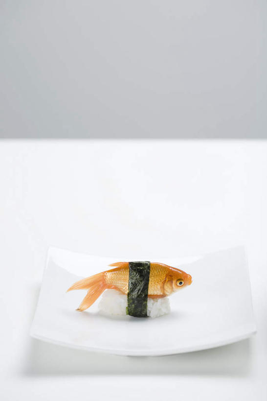 海鲜,米饭,寿司,无人,竖图,室内,特写,白天,白色背景,正面,烹饪,桌面,桌子,蔬菜,餐具,阴影,新鲜,金鱼,鱼,碟子,盘,影子,海苔,日本料理,料理,食品,饭,水产,菜肴,美食,食物,一个,盘子,碟,日式料理,日式,佳肴,有机食品,绿色食品,单个,五谷,海产品,醋饭,四喜饭,彩图