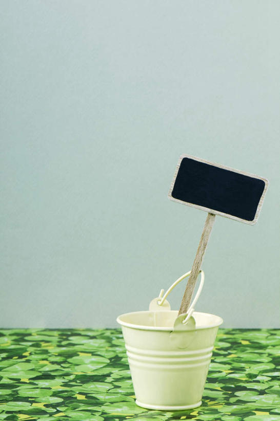 无人,竖图,室内,特写,白天,正面,植物,桌面,桌子,静物,植树节,蓝色背景,整齐,木头,铁桶,一个,黑板,台布,摄影,影棚,单个,彩图,影棚拍摄,拍摄