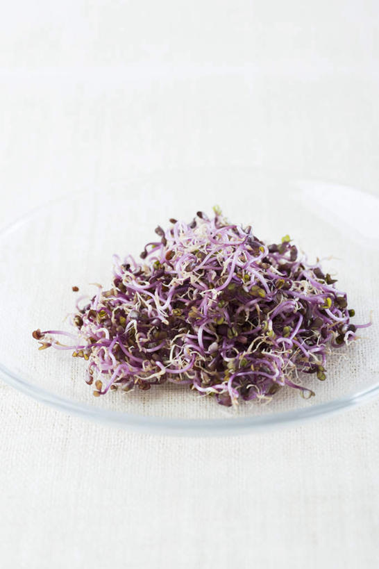 无人,竖图,俯视,室内,特写,白天,白色背景,桌面,桌子,蔬菜,餐具,玻璃,许多,新鲜,碟子,盘,食品,玻璃制品,食物,盘子,碟,放,叠放,摄影,有机食品,绿色食品,影棚,豆芽菜,彩图,高角度拍摄,影棚拍摄,拍摄