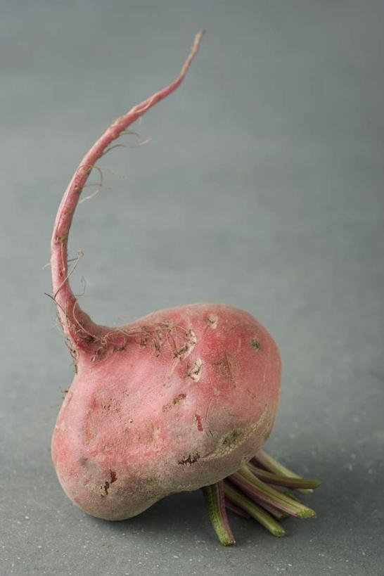 无人,竖图,俯视,室内,特写,白天,桌面,桌子,蔬菜,灰色背景,新鲜,食品,茎,根部,甜菜,食物,一个,放,摄影,有机食品,绿色食品,影棚,单个,彩图,高角度拍摄,影棚拍摄,拍摄