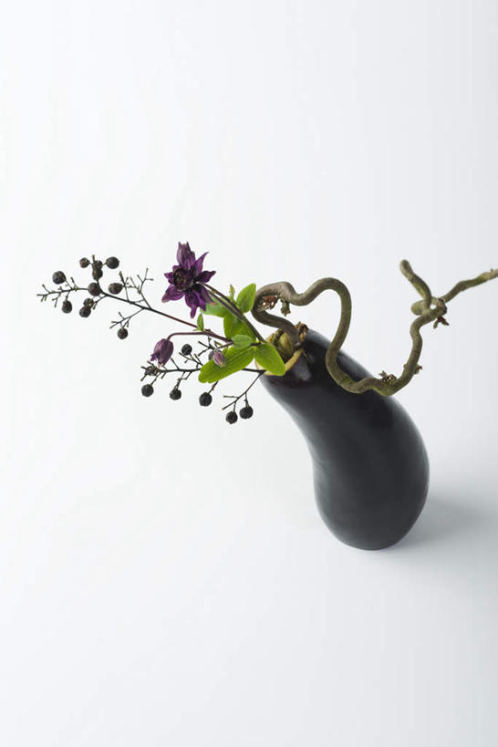 无人,站,竖图,俯视,室内,特写,白天,白色背景,花海,花圃,植物,桌面,桌子,茄子,静物,叶子,盛开,茎,发芽,花蕾,注视,花,花瓣,花朵,花卉,鲜花,开花,一个,绿色,紫色,花丛,花束,花田,花苞,花蕊,观察,看,站着,放,摄影,影棚,单个,观看,察看,关注,落苏,酪酥,昆仑瓜,矮瓜,站立,彩图,高角度拍摄,影棚拍摄,拍摄