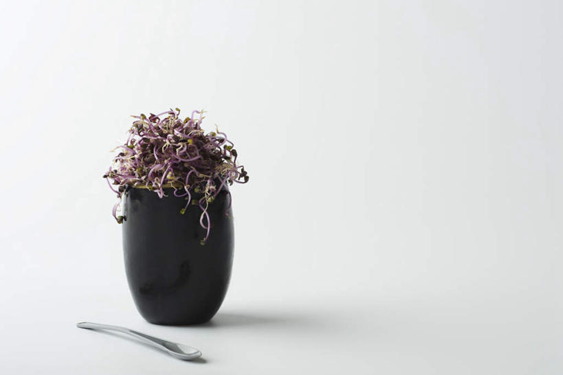 无人,横图,室内,特写,白天,白色背景,正面,桌面,桌子,蔬菜,新鲜,铁,罐子,勺子,陶瓷,食品,陶瓷制品,食物,一个,黑色,瓶子,调羹,汤匙,放,摄影,有机食品,绿色食品,影棚,单个,豆芽菜,铝,彩图,影棚拍摄,拍摄