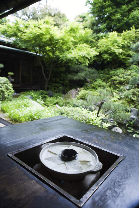 豆腐,无人,餐厅,竖图,俯视,室外,特写,白天,烹饪,礁石,石头,植物,餐桌,桌子,朦胧,模糊,残缺,木制,石子,日本料理,料理,食品,露天,锅,火锅,菜肴,美食,树,树木,食物,绿色,风景,自然,日式料理,日式,佳肴,生长,成长,餐台,碳,礁,石块,岩石,彩图,高角度拍摄,餐馆,饭店,饭馆