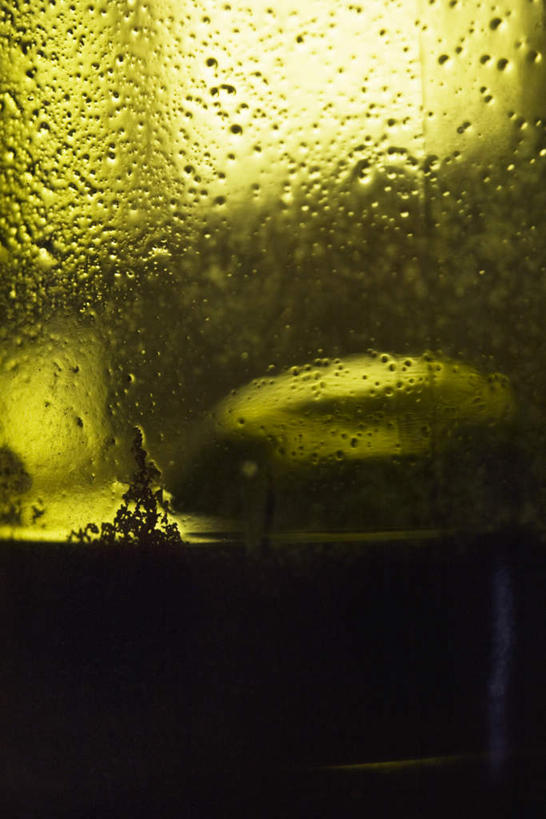 葡萄酒,无人,竖图,俯视,室内,特写,白天,桌面,桌子,静物,透明,泡沫,液体,玻璃制品,酒瓶,一个,绿色,玻璃瓶,瓶子,流动,单个,彩图,高角度拍摄