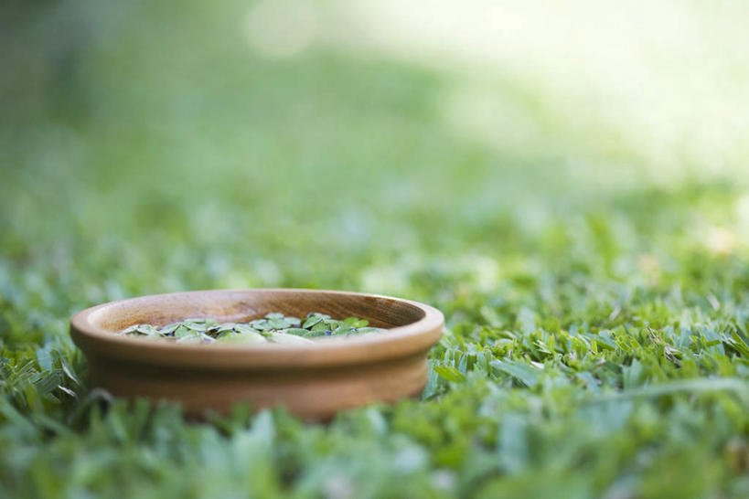 无人,横图,俯视,室内,特写,白天,草地,草坪,植物,静物,阴影,朦胧,模糊,光线,盆,盆栽,影子,陶瓷,盆景,陶瓷制品,草,绿色,阳光,自然,生长,成长,彩图,高角度拍摄