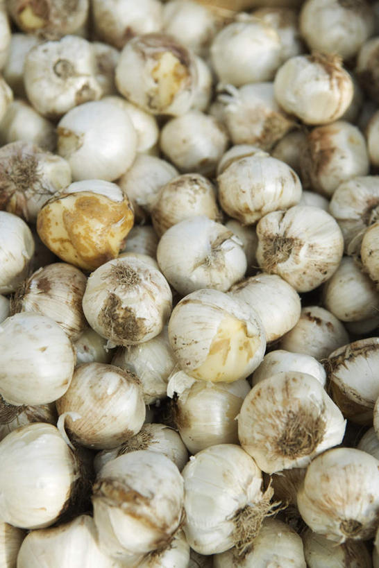 无人,竖图,俯视,室外,特写,白天,蔬菜,蒜,一堆,许多,堆叠,堆积,新鲜,食品,食物,有机食品,绿色食品,堆,小蒜,大蒜,彩图,高角度拍摄