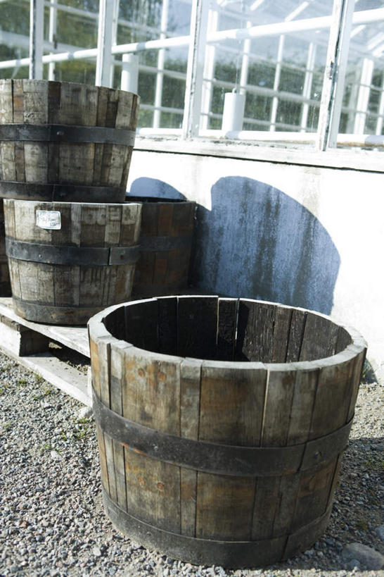 无人,竖图,室外,白天,正面,窗户,一堆,许多,阴影,堆叠,堆积,光线,木桶,桶,影子,墙,地面,玻璃窗,墙壁,墙面,阳光,容器,储藏,堆,储存,彩图,贮存