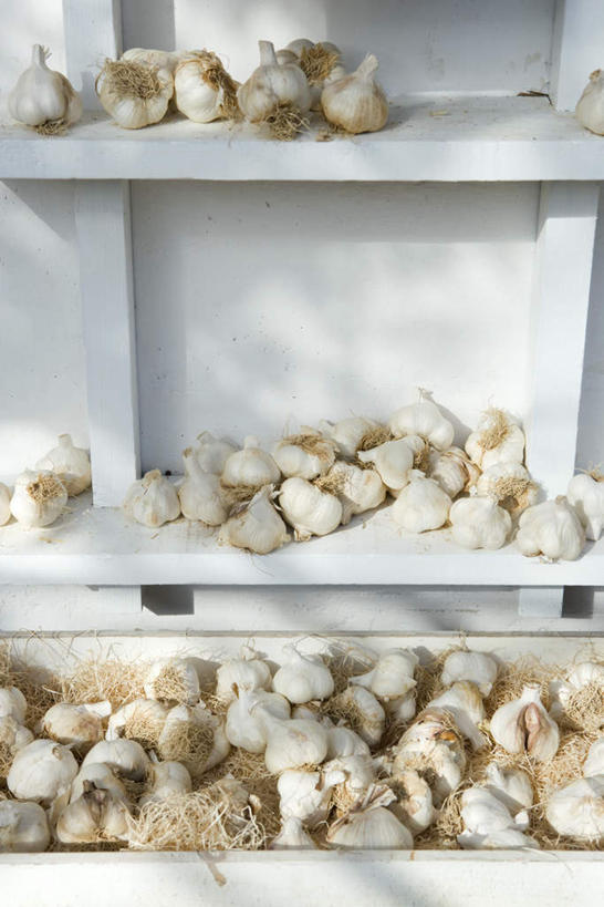 无人,竖图,室外,白天,正面,蔬菜,蒜,一堆,许多,阴影,堆叠,堆积,新鲜,光线,影子,支架,食品,食物,阳光,有机食品,绿色食品,堆,小蒜,大蒜,彩图