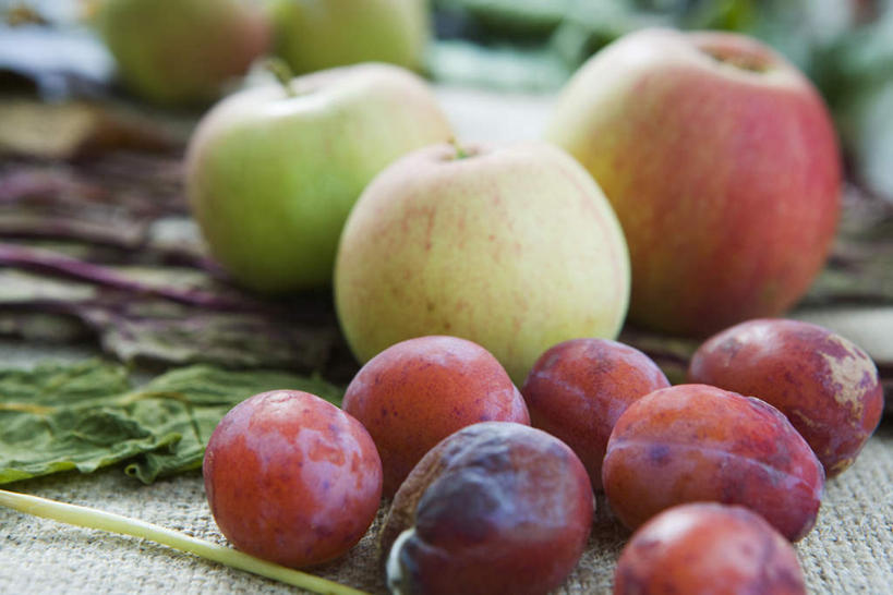 无人,横图,俯视,室内,特写,白天,餐桌,桌子,苹果,李子,水果,叶子,许多,朦胧,模糊,新鲜,生食,食品,果实,绿叶,食物,红色,嫩叶,有机食品,绿色食品,餐台,叶,叶片,恐龙蛋,布冧,彩图,高角度拍摄