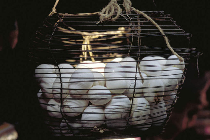 无人,横图,室内,白天,正面,一堆,许多,阴影,堆叠,堆积,缠绕,光线,金属,篮子,影子,蛋,鸡蛋,食品,食物,白色,阳光,绳子,堆,捆绑,绳索,草鸡蛋,彩图