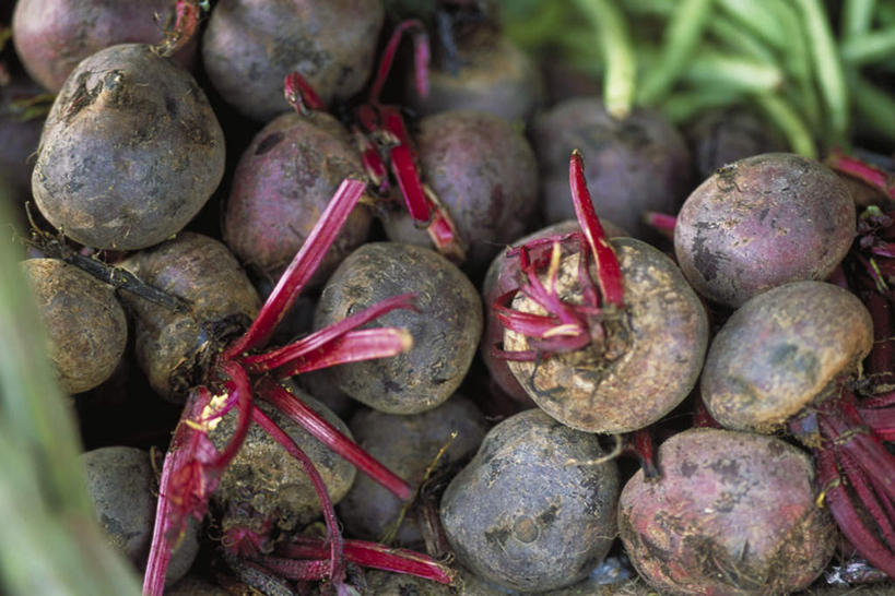 无人,横图,俯视,室外,特写,白天,蔬菜,一堆,许多,堆叠,堆积,朦胧,模糊,新鲜,食品,甜菜,食物,有机食品,绿色食品,堆,菾菜,彩图,高角度拍摄