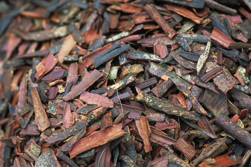 无人,横图,俯视,室外,特写,白天,一堆,许多,堆叠,堆积,花纹,纹理,树皮,堆,彩图,高角度拍摄