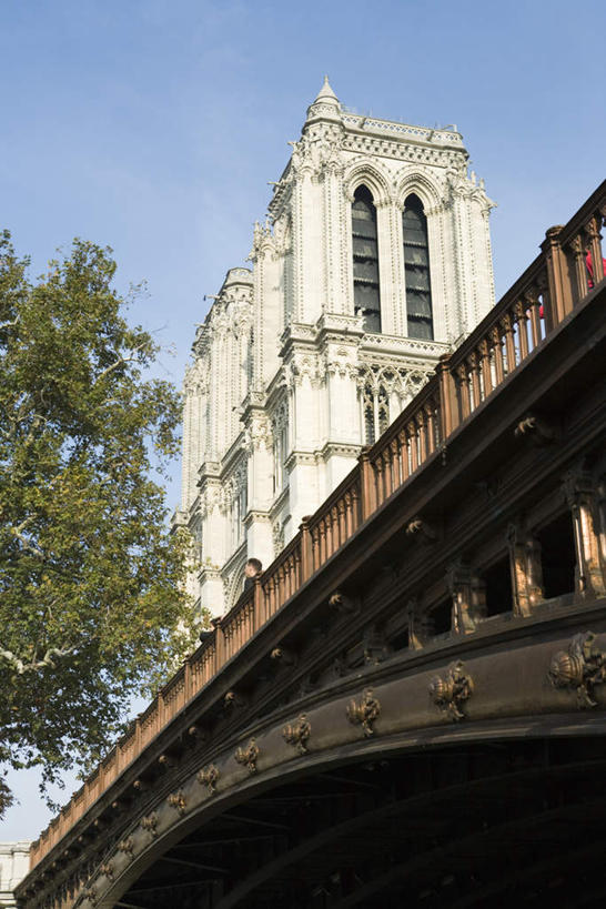 无人,教堂,竖图,室外,白天,仰视,旅游,度假,植物,标志建筑,大桥,地标,建筑,立交桥,桥梁,法国,巴黎,巴黎圣母院,欧洲,高架,建筑群,斜拉桥,桥,娱乐,建设,树,树木,蓝色,绿色,蓝天,天空,自然,天,享受,休闲,旅游胜地,放松,宗教,信仰,生长,成长,哥特式,基督教,信念,哥特式建筑,巴黎圣母院大教堂,彩图,低角度拍摄,大教堂,礼拜堂