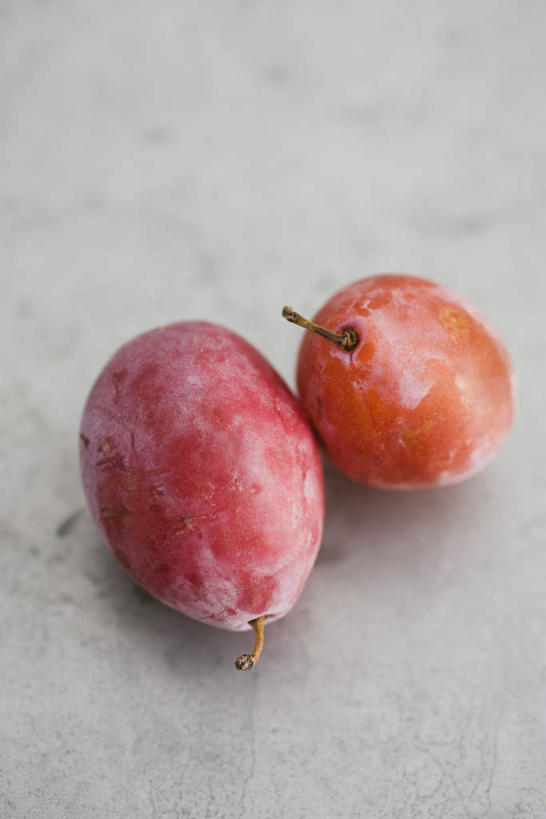 无人,竖图,俯视,室内,特写,白天,白色背景,餐桌,桌子,李子,静物,水果,新鲜,生食,食品,果实,食物,两个,红色,摄影,有机食品,绿色食品,影棚,餐台,恐龙蛋,布冧,彩图,高角度拍摄,影棚拍摄,拍摄