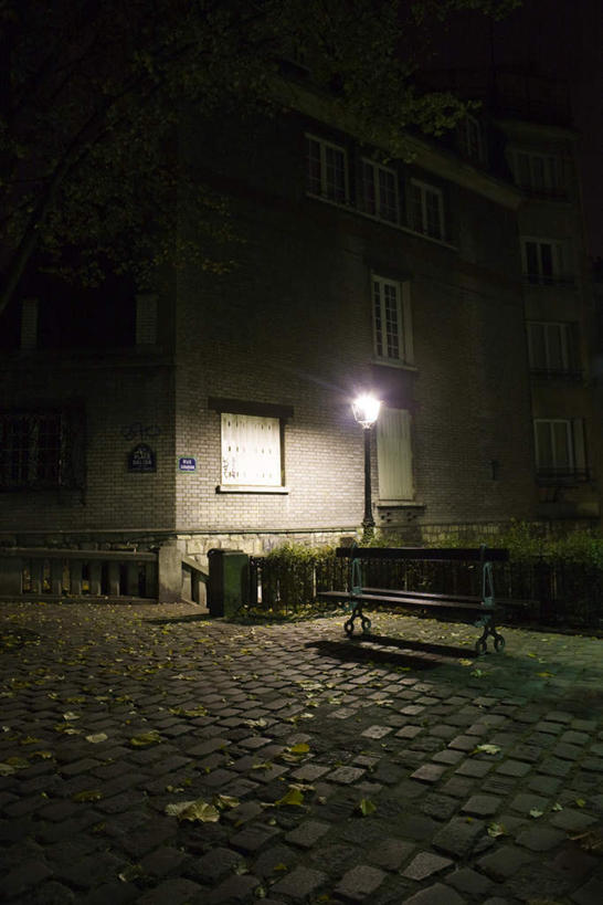 无人,家,栏杆,竖图,室外,夜晚,正面,楼梯,路灯,叶子,椅子,照明,法国,巴黎,欧洲,扶手,房屋,阶梯,木椅,屋子,灯光,绿叶,落叶,护栏,楼房,台阶,住宅,灯,嫩叶,照亮,照明设备,法兰西共和国,蒙马特,法兰西第五共和国,蒙马特区,叶,叶片,彩图,房子