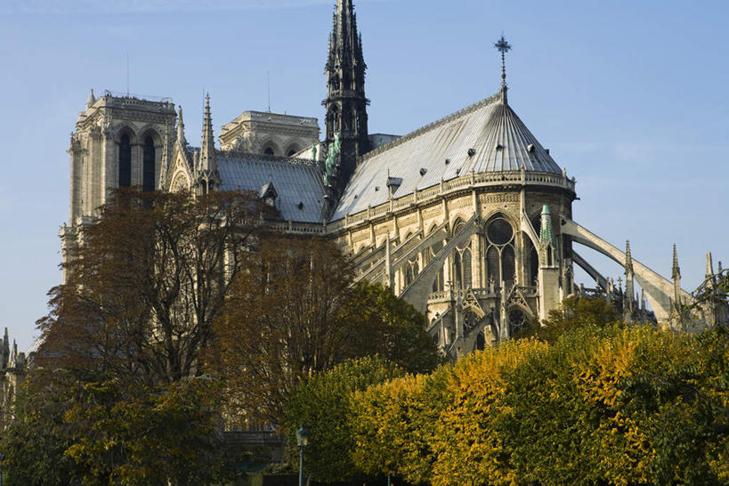 无人,教堂,横图,室外,白天,仰视,旅游,度假,名胜古迹,树林,植物,标志建筑,地标,建筑,法国,巴黎,巴黎圣母院,欧洲,遗迹,古迹,文物,娱乐,建设,古建筑,树,树木,蓝色,绿色,蓝天,天空,自然,天,享受,休闲,旅游胜地,放松,宗教,信仰,生长,成长,哥特式,基督教,信念,古文明,哥特式建筑,巴黎圣母院大教堂,彩图,低角度拍摄,大教堂,礼拜堂