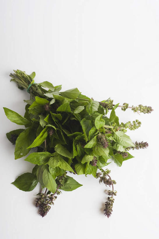 无人,竖图,俯视,室内,白天,白色背景,植物,餐桌,桌子,一堆,许多,堆叠,堆积,香料,草药,中药,香草,摄影,影棚,餐台,堆,罗勒,紫苏,药材,中草药,九层塔,圣约瑟夫草,甜罗勒,兰香,中药材,本草,彩图,高角度拍摄,影棚拍摄,拍摄