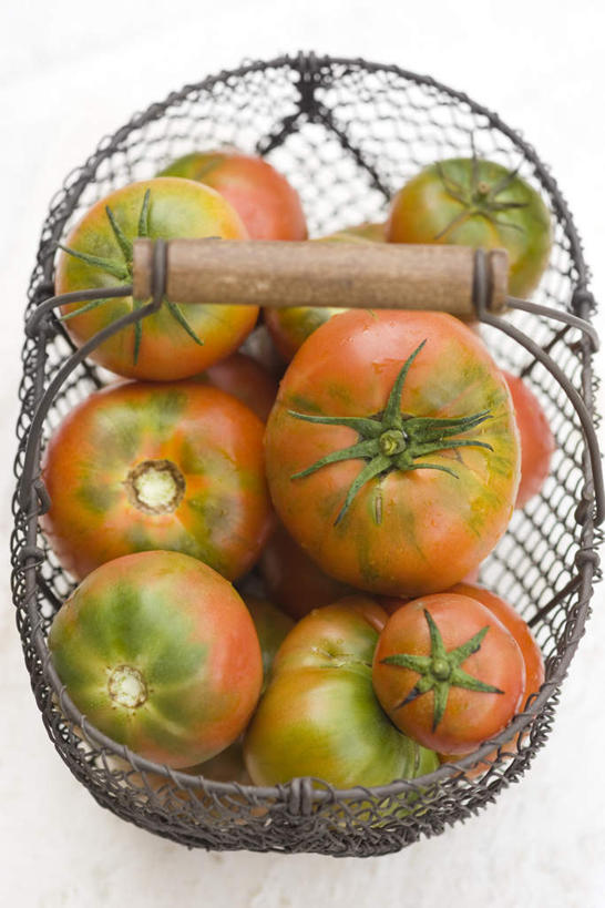 无人,竖图,俯视,室内,白天,白色背景,餐桌,桌子,蔬菜,西红柿,一堆,许多,堆叠,堆积,新鲜,篮子,食品,食物,一个,铁丝,摄影,有机食品,绿色食品,影棚,单个,餐台,堆,番茄,彩图,高角度拍摄,影棚拍摄,拍摄