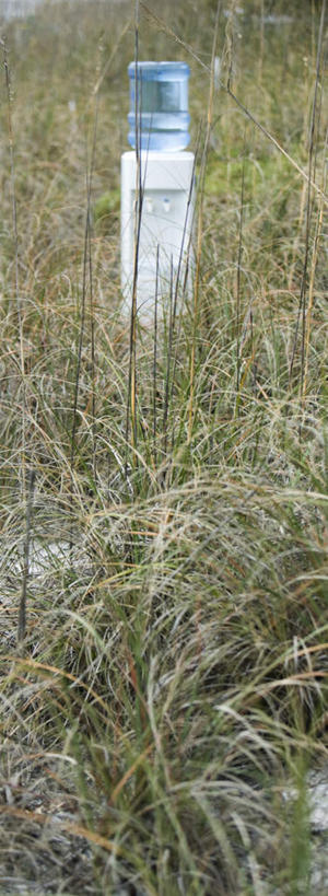 无人,竖图,室外,特写,白天,正面,草地,草坪,水,植物,静物,朦胧,模糊,液体,水滴,草,一个,绿色,单个,饮水机,桶装水,彩图