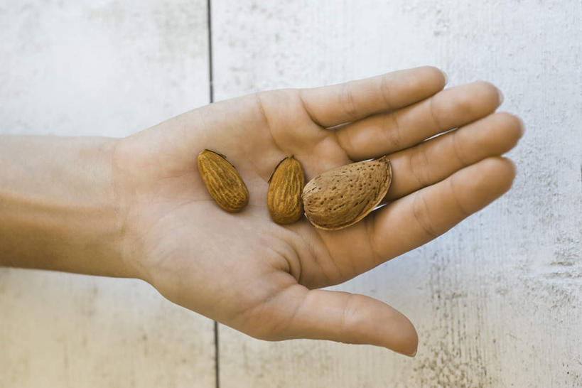 西方人,手,一个人,横图,俯视,室内,特写,白天,杏仁,欧洲,欧洲人,仅一个男性,仅一个人,摊开,拿,拿着,仅一个年轻男性,三个,手部,单手,男人,男性,年轻男性,白种人,杏子,杏梅仁,杏核仁,木落子,苦杏仁,半身,彩图,高角度拍摄
