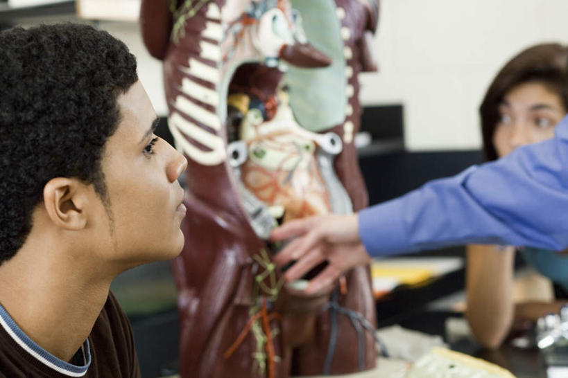 西方人,三个人,伙伴,朋友,教师,坐,说,横图,室内,白天,正面,讨论,友谊,欧洲,欧洲人,指,服装,朦胧,模糊,注视,休闲装,方向,衣服,观察,看,手势,休闲,同学,休闲服,服饰,观看,察看,医疗,指向,校友,关注,同窗,学友,交流,友情,男人,男性,年轻男性,年轻女性,女人,女性,中年男性,白种人,讲师,教授,老师,沟通,讲话,交谈,商讨,说话,谈话,坐着,半身,彩图,人体模型