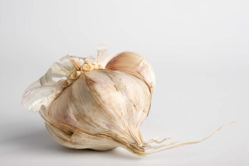 无人,横图,室内,特写,白天,白色背景,正面,餐桌,桌子,蔬菜,蒜,新鲜,食品,食物,一个,摄影,有机食品,绿色食品,影棚,单个,餐台,小蒜,大蒜,彩图,影棚拍摄,拍摄