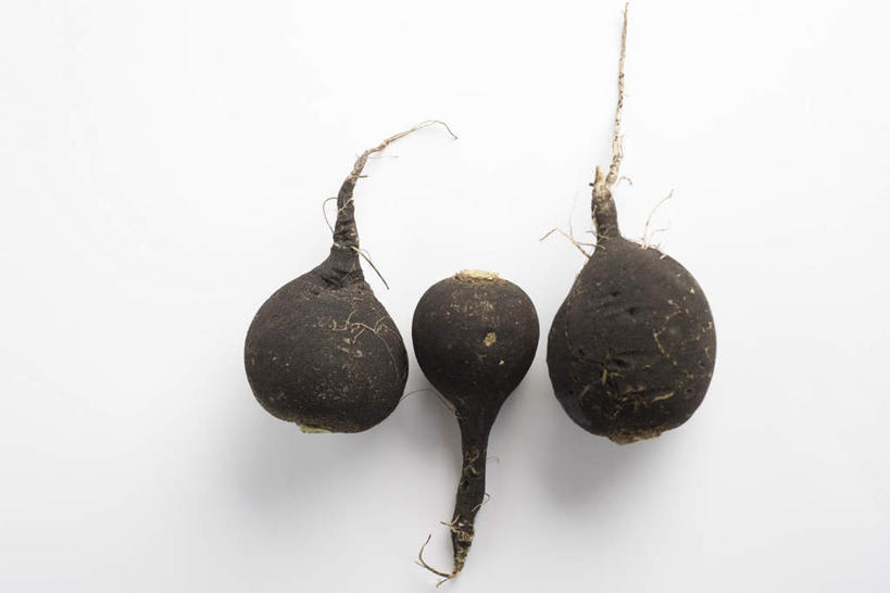 无人,横图,俯视,室内,特写,白天,白色背景,餐桌,桌子,蔬菜,一排,新鲜,整齐,食品,食物,排列,三个,摄影,有机食品,绿色食品,影棚,餐台,队列,甜菜根,菾菜,彩图,高角度拍摄,影棚拍摄,拍摄