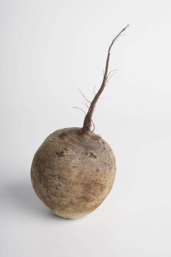 无人,竖图,俯视,室内,特写,白天,白色背景,餐桌,桌子,蔬菜,新鲜,食品,甜菜,食物,一个,摄影,有机食品,绿色食品,影棚,单个,餐台,甜菜根,菾菜,彩图,高角度拍摄,影棚拍摄,拍摄