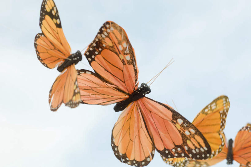 无人,横图,室外,特写,白天,仰视,蝴蝶,静物,玩具,艺术,昆虫,云,云朵,云彩,飞,三个,黄色,蓝色,白云,蓝天,天空,动物,模型,天,晴朗,金斑蝶,益虫,晴空,彩图,低角度拍摄