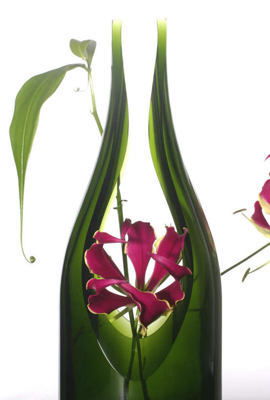 无人,竖图,室内,特写,白天,白色背景,正面,植物,静物,花瓶,叶子,盛开,花蕾,花,花瓣,花朵,花卉,鲜花,一朵,红色,绿色,花苞,花蕊,摄影,影棚,嘉兰,剖面,荣耀,荣光,彩图,影棚拍摄,拍摄,变色兰