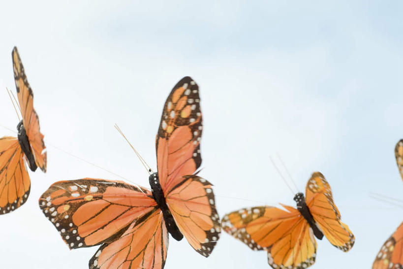 无人,横图,室外,特写,白天,仰视,静物,玩具,一排,整齐,云,云朵,云彩,飞,排列,蓝色,白云,蓝天,天空,模型,天,四个,橙色,晴朗,金斑蝶,队列,晴空,彩图,低角度拍摄