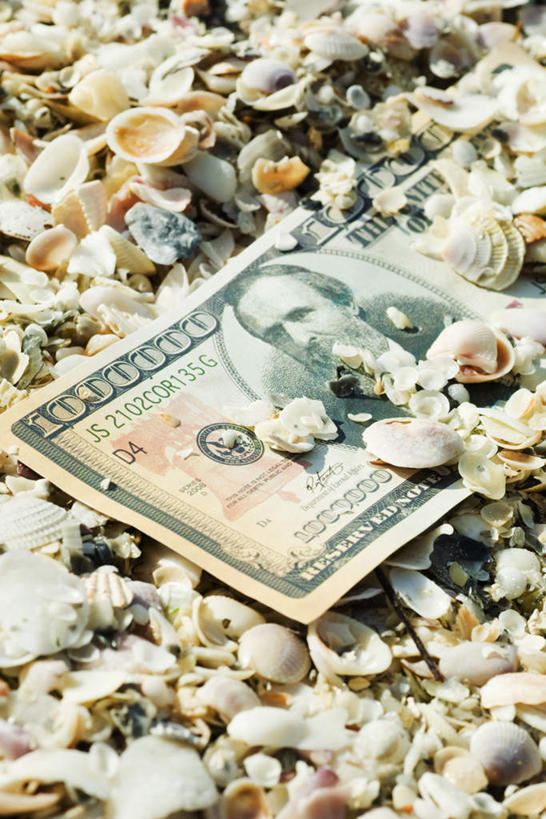 无人,竖图,俯视,室外,特写,白天,钱,美元,静物,贝壳,钱币,美金,钞票,金融,纸币,经济,流通,纸钞,贸易,货币,现金,贝类外壳,海螺壳,软体动物外壳,彩图,高角度拍摄