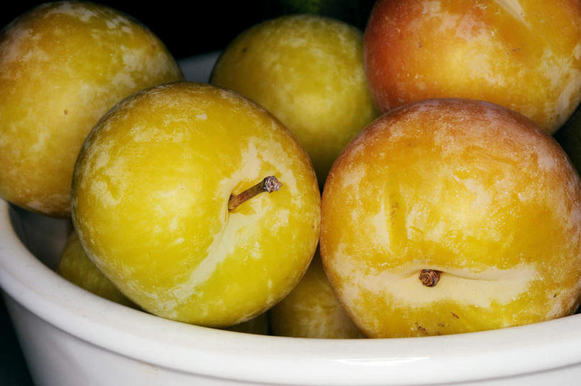 无人,横图,俯视,室内,特写,白天,李子,水果,一堆,许多,堆叠,堆积,新鲜,生食,食品,果实,食物,碗,有机食品,绿色食品,堆,恐龙蛋,布冧,彩图,高角度拍摄