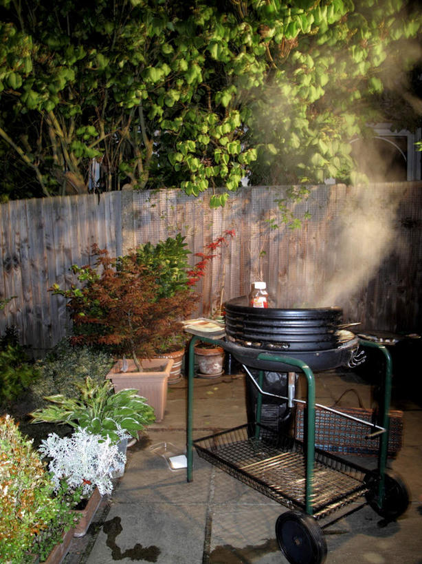 无人,竖图,俯视,室外,夜晚,烧烤,树林,植物,盆栽,烤架,盆景,烤肉,树,树木,绿色,自然,瓶子,塑料制品,塑料瓶,铁架,生长,成长,彩图,高角度拍摄