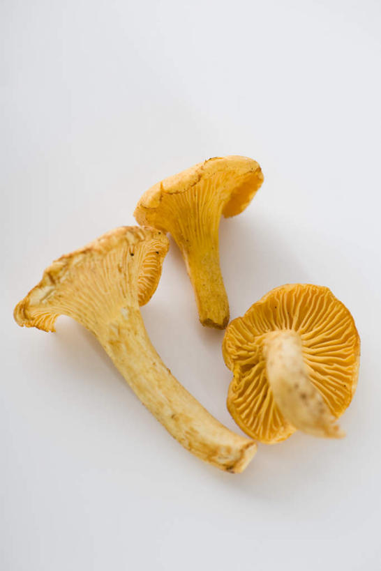 无人,竖图,俯视,室内,特写,白天,白色背景,一堆,堆叠,堆积,菌菇,菌类,三个,黄色,食用菌,摄影,影棚,堆,鸡油菌,杏黄菌,杏菌,彩图,高角度拍摄,影棚拍摄,拍摄