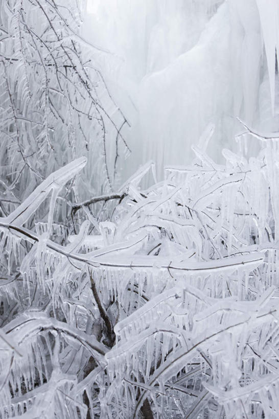 无人,竖图,室外,白天,仰视,美景,树林,植物,静物,冰,景观,冬季,冬天,冰柱,树,树木,自然,景色,寒冷,生长,成长,自然风光,严寒,彩图,低角度拍摄