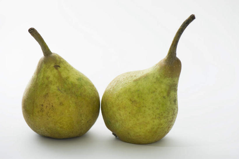 无人,横图,室内,白天,白色背景,正面,水果,一排,新鲜,整齐,生食,食品,青色,果实,食物,排列,两个,酪梨,鳄梨,摄影,有机食品,绿色食品,影棚,油梨,队列,樟梨,牛油果,彩图,影棚拍摄,拍摄