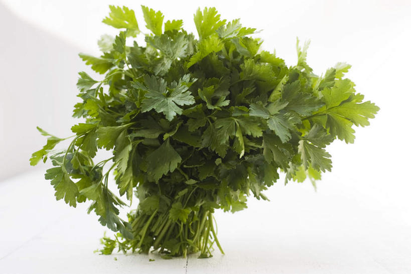 无人,横图,室内,白天,白色背景,正面,芹菜,蔬菜,一捆,许多,新鲜,食品,食物,绿色,摄影,有机食品,绿色食品,影棚,根芹菜,根洋芹,球根塘蒿,药芹,水芹,旱芹,彩图,影棚拍摄,拍摄