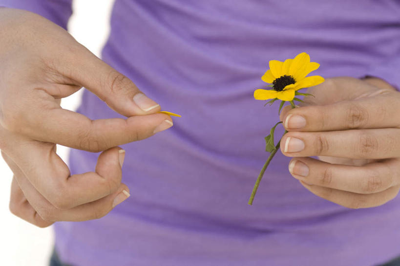 西方人,一个人,站,横图,室外,白天,正面,向日葵,欧洲,欧洲人,仅一个女性,仅一个人,握,盛开,拿,花蕾,拿着,花,花瓣,花朵,鲜花,一朵,花苞,花蕊,摘,站着,握着,仅一个老年女性,朝阳花,葵花,望日莲,向阳花,转日莲,老年女性,女人,女性,白种人,站立,半身,彩图