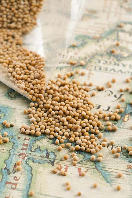 无人,竖图,俯视,室内,特写,白天,植物,道路,豆,大豆,蔬菜,袋子,地图,一堆,许多,堆叠,堆积,新鲜,信息,豆类,豆子,毛豆,食品,交通,方向,塑料袋,食物,有机食品,绿色食品,引导,指引,堆,豆科,枝豆,黄豆,彩图,高角度拍摄,导航