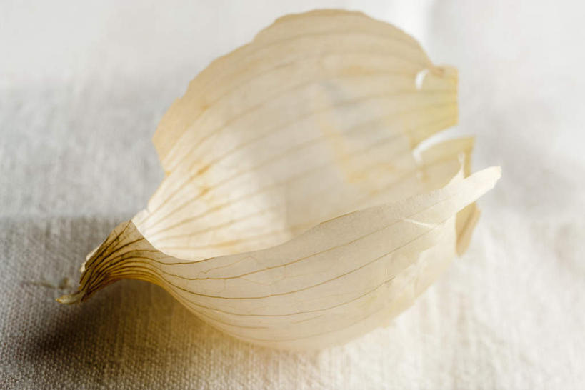 无人,横图,俯视,室内,特写,白天,白色背景,蒜,静物,叶子,一个,白色,摄影,影棚,单个,叶,叶片,小蒜,大蒜,彩图,高角度拍摄,影棚拍摄,拍摄