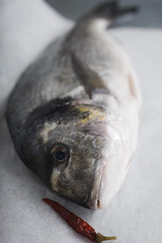 无人,竖图,俯视,室内,特写,白天,白色背景,辣椒,静物,鱼,水产,鱼类,一个,摄影,影棚,单个,水生动物,水生物,鳊鱼,武昌鱼,辣角,红海椒,大椒,辣虎,广椒,鳊花,槎头鳊,缩项鳊,鲂鱼,辣子,红辣椒,海椒,番椒,彩图,高角度拍摄,影棚拍摄,拍摄