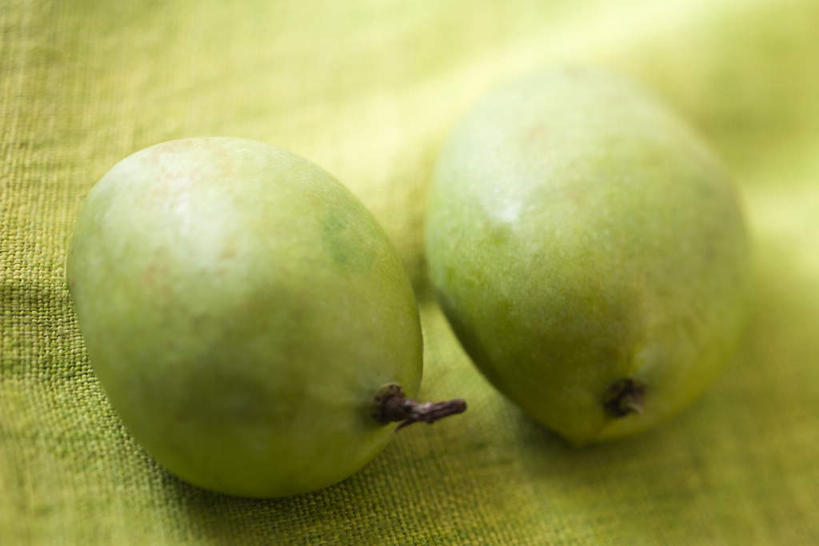 无人,横图,俯视,室内,白天,桌子,芒果,水果,黄色背景,新鲜,生食,食品,青色,果实,桌布,食物,两个,有机食品,绿色食品,望果,蜜望,檬果,闷果,漭果,杧果,庵波罗果,彩图,高角度拍摄