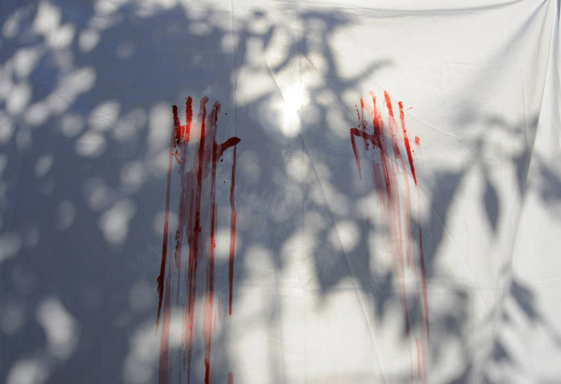 无人,横图,室外,特写,白天,正面,植物,英国,欧洲,阴影,光线,影子,英格兰,树,树木,红色,绿色,白色,阳光,自然,血液,生长,成长,卫生,手印,被单,西欧,大不列颠,纯真,大不列颠及北爱尔兰联合王国,洁净,光明,大不列颠联合王国,日不落英帝国,恬静,中间色,朴素,清白,英吉利,指模,彩图