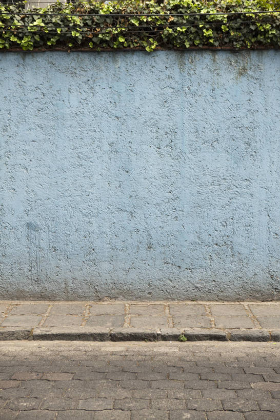 无人,竖图,室外,白天,正面,建材,植物,城市,建筑,墨西哥,材料,墙,混凝土,首都,水泥,墙壁,墙面,树,树木,绿色,自然,建造,生长,成长,北美,北美洲,美洲,墨西哥城,北亚美利加洲,亚美利加洲,墨西哥合众国,仙人掌王国,联邦区,彩图