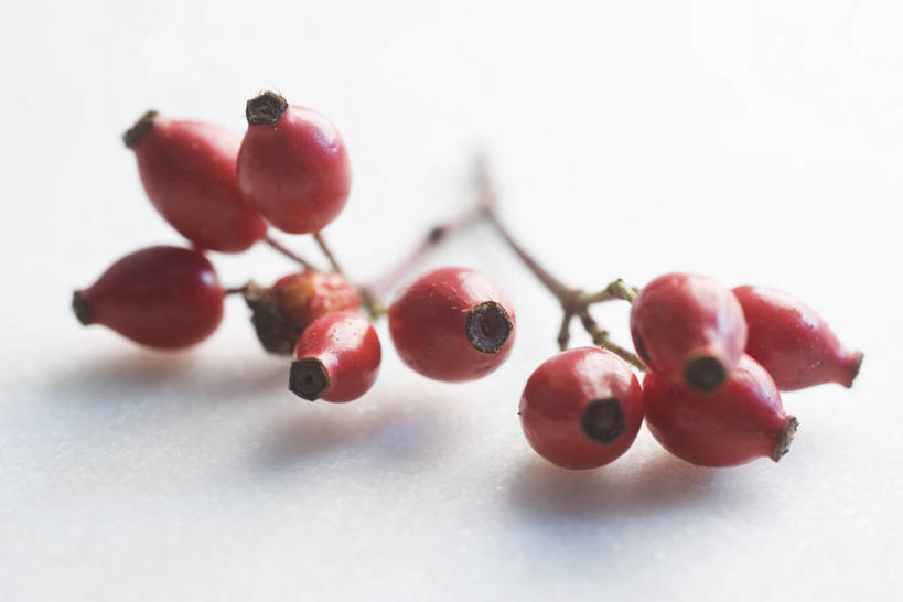 无人,横图,室内,特写,白天,白色背景,正面,水果,许多,阴影,朦胧,模糊,新鲜,反射,影子,生食,食品,果实,食物,红色,果肉,摄影,有机食品,绿色食品,影棚,蔷薇果,玫瑰果,彩图,影棚拍摄,拍摄