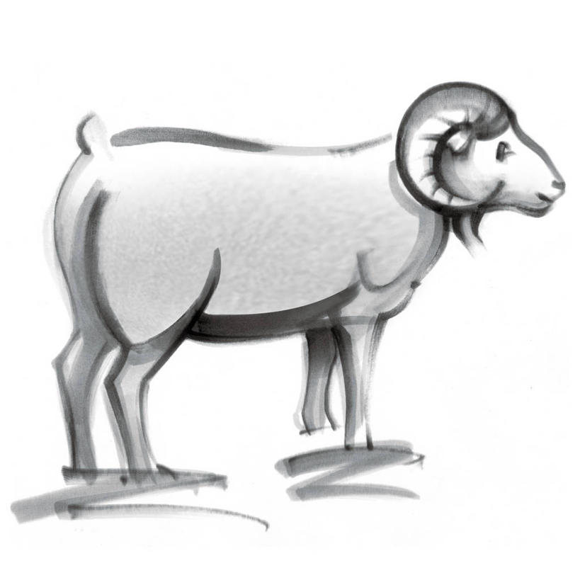 无人,站,方图,黑白,插画,室内,白天,侧面,数码,科技,羊,阴影,网络,高光,几何,计算机图形,合成,图画,注视,画,一只,动物,观察,看,站着,家畜,牲畜,星座,观看,电脑合成图,数码合成图,察看,合成图,关注,占卜,漫画,写实,具体,具象,白羊座,冲动,乐观,领导型,牡羊座,毅力,冒险,绵羊,站立,全身